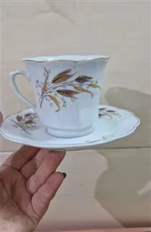 فنجان