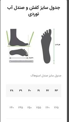 صندل