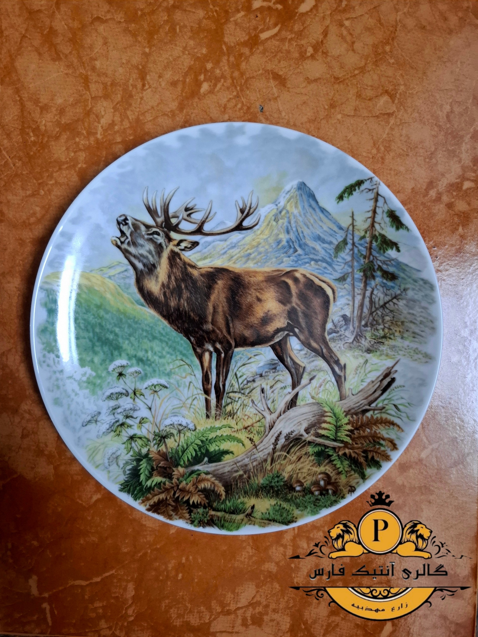 بشقاب کایسر دیوارکوب آلمانی قدیمی