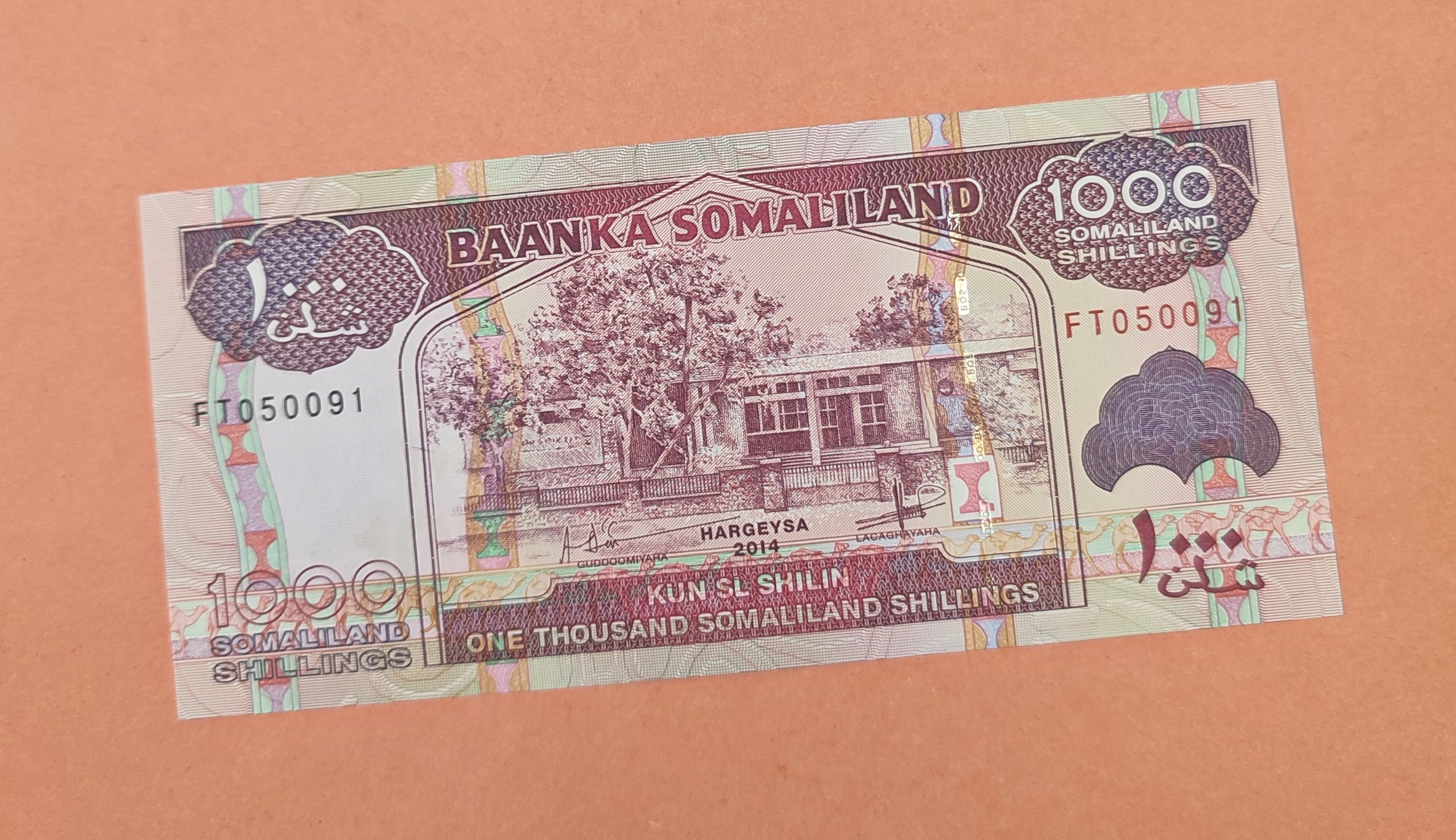 اسکناس تک بانکی 1000 شیلینگ سومالی لند