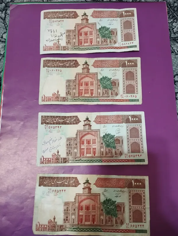 100 فیضیه 31 عدد