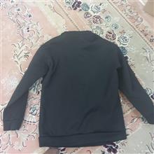 هودی