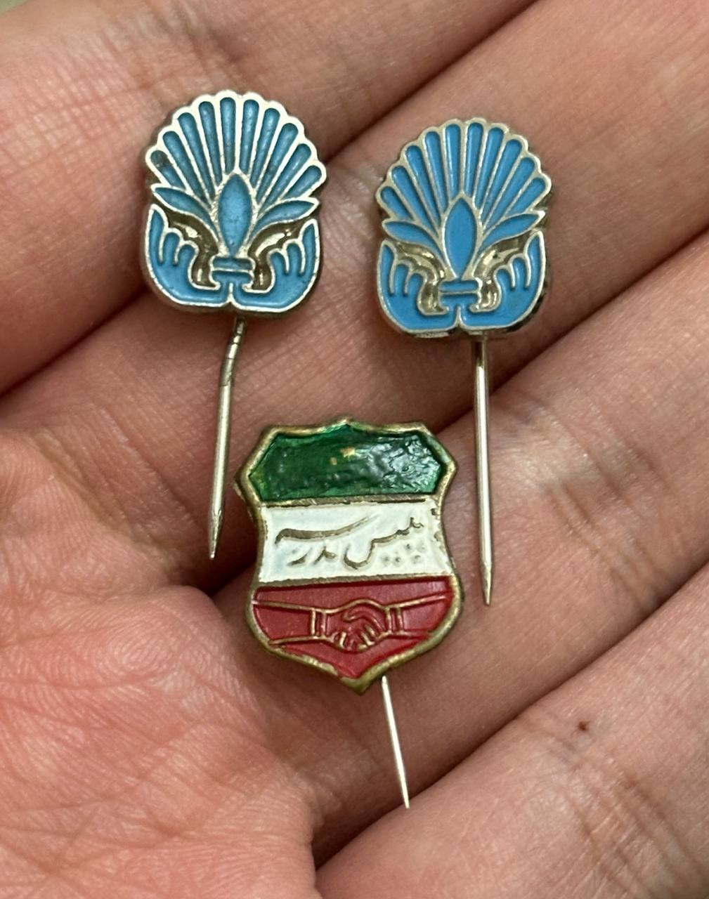 3 سنجاق سینه شاهی