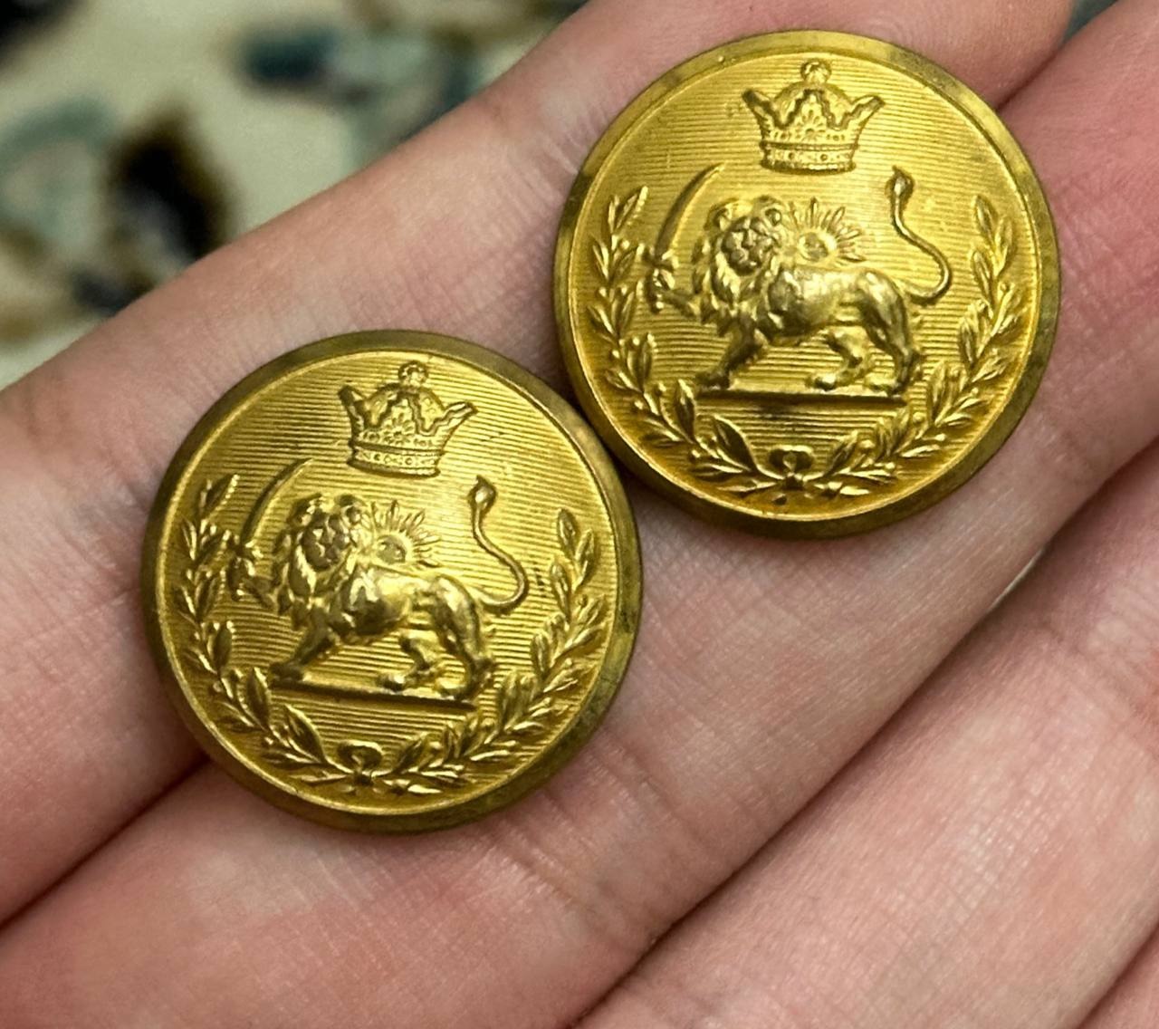 2 دکمه شیروخورشید
