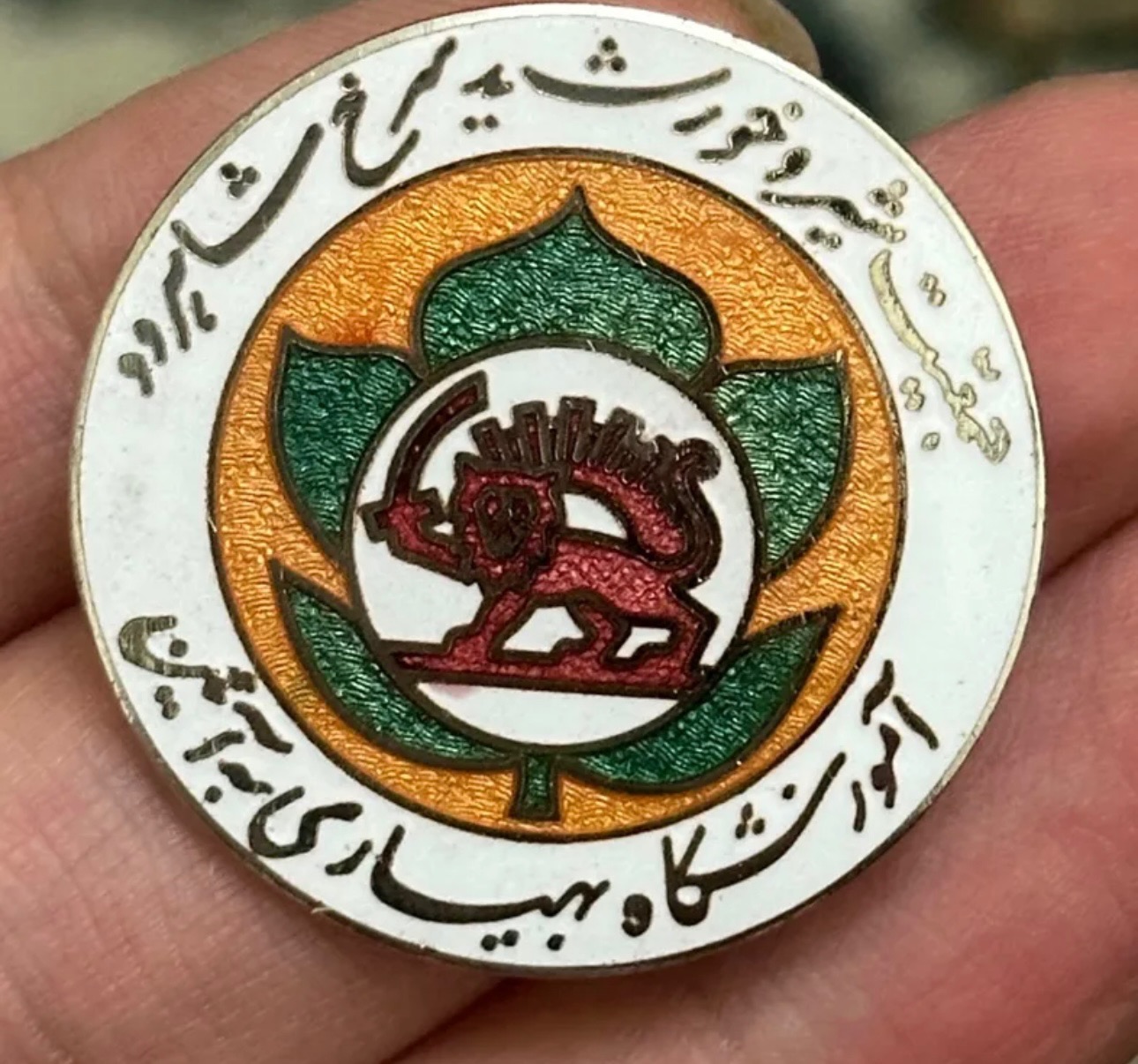 نشان آموزشگاه بهیاری به آئین ( ضرب انگلیس)