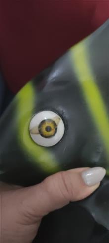 مجسمه