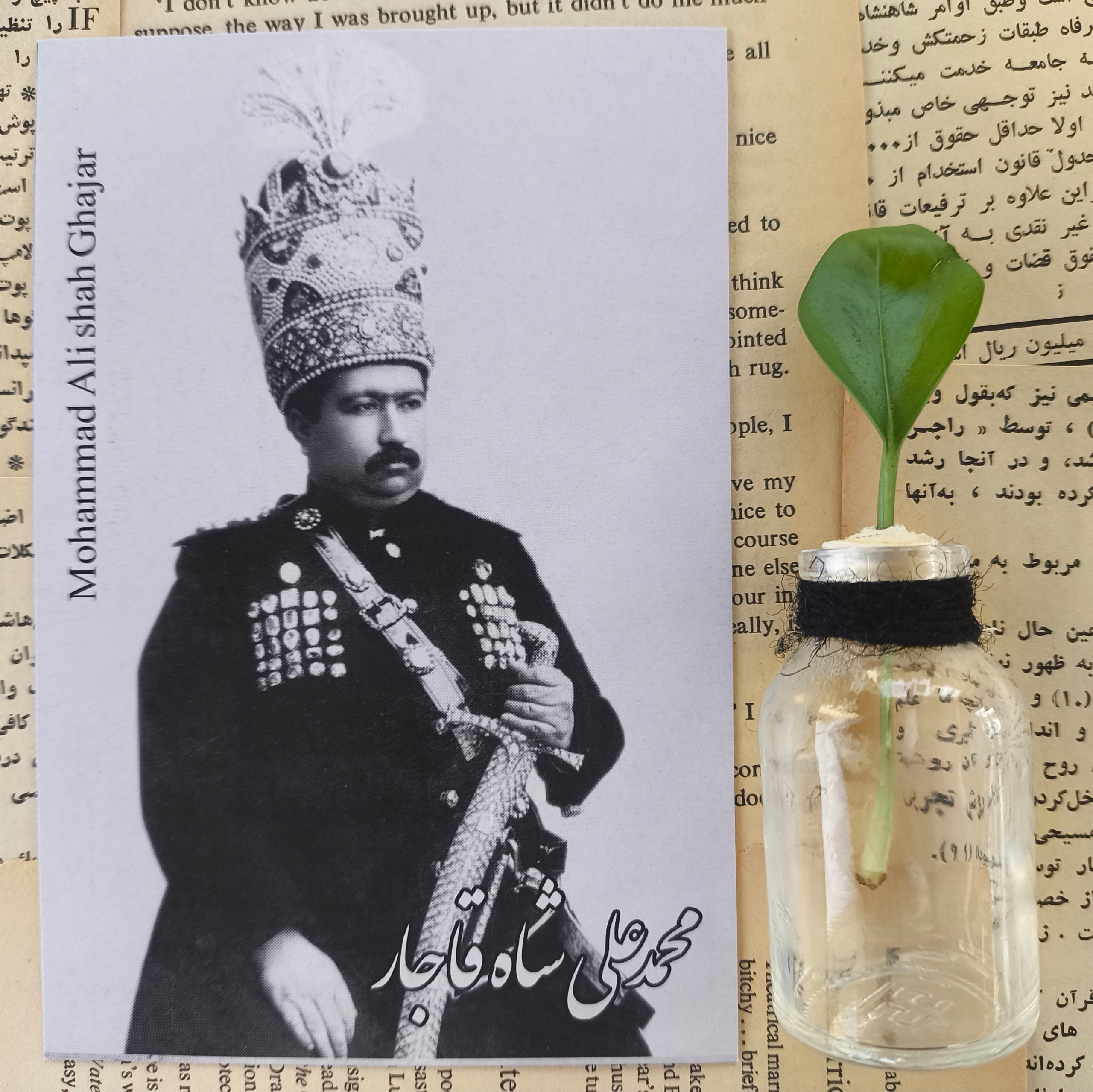کارت پستال محمدعلی شاه