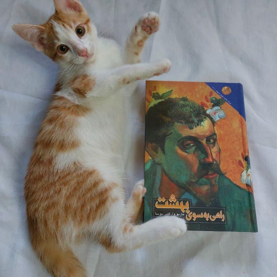 راهی به سوی بهشت