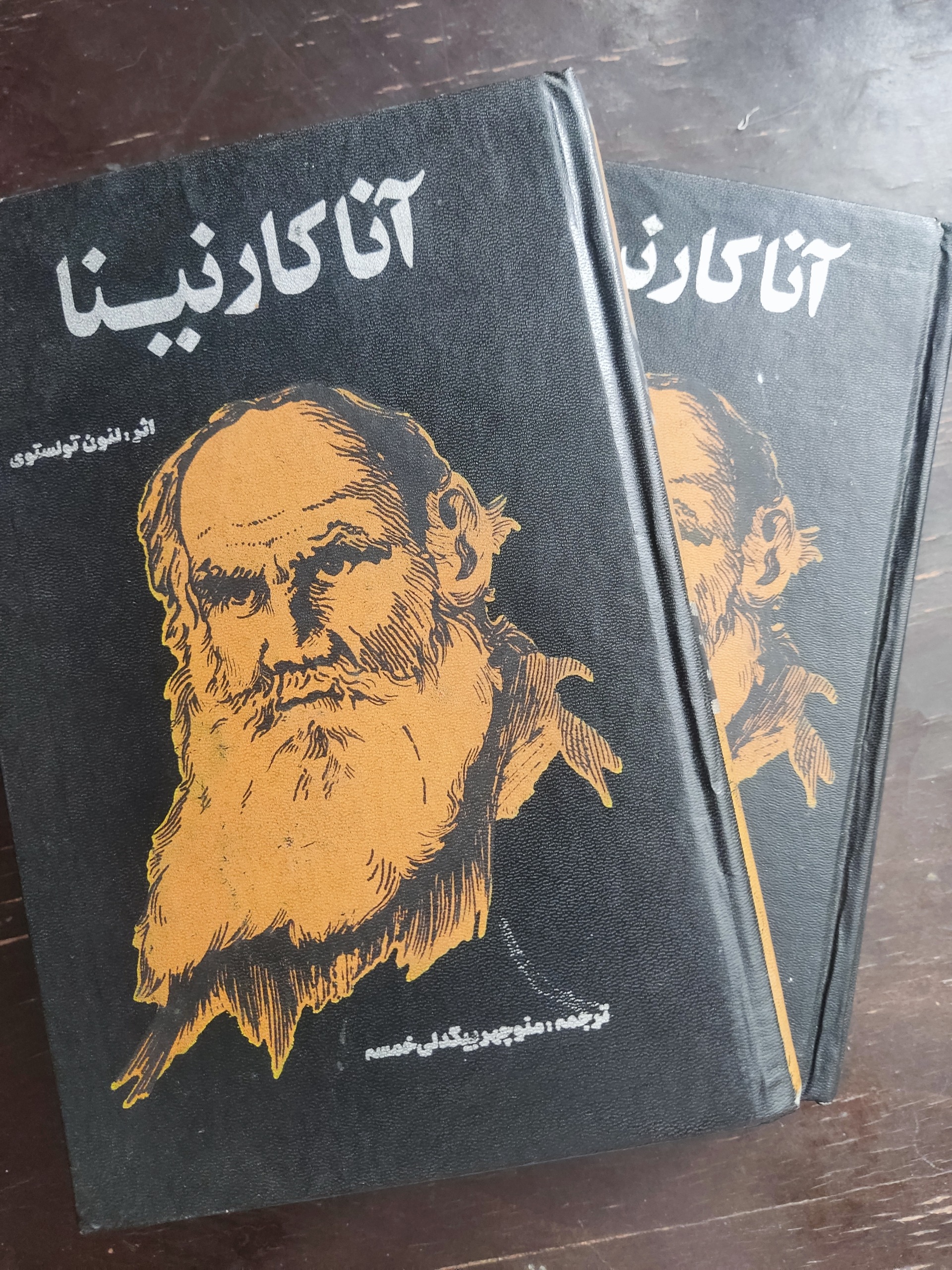 رمان آناکارنینا تولستوی