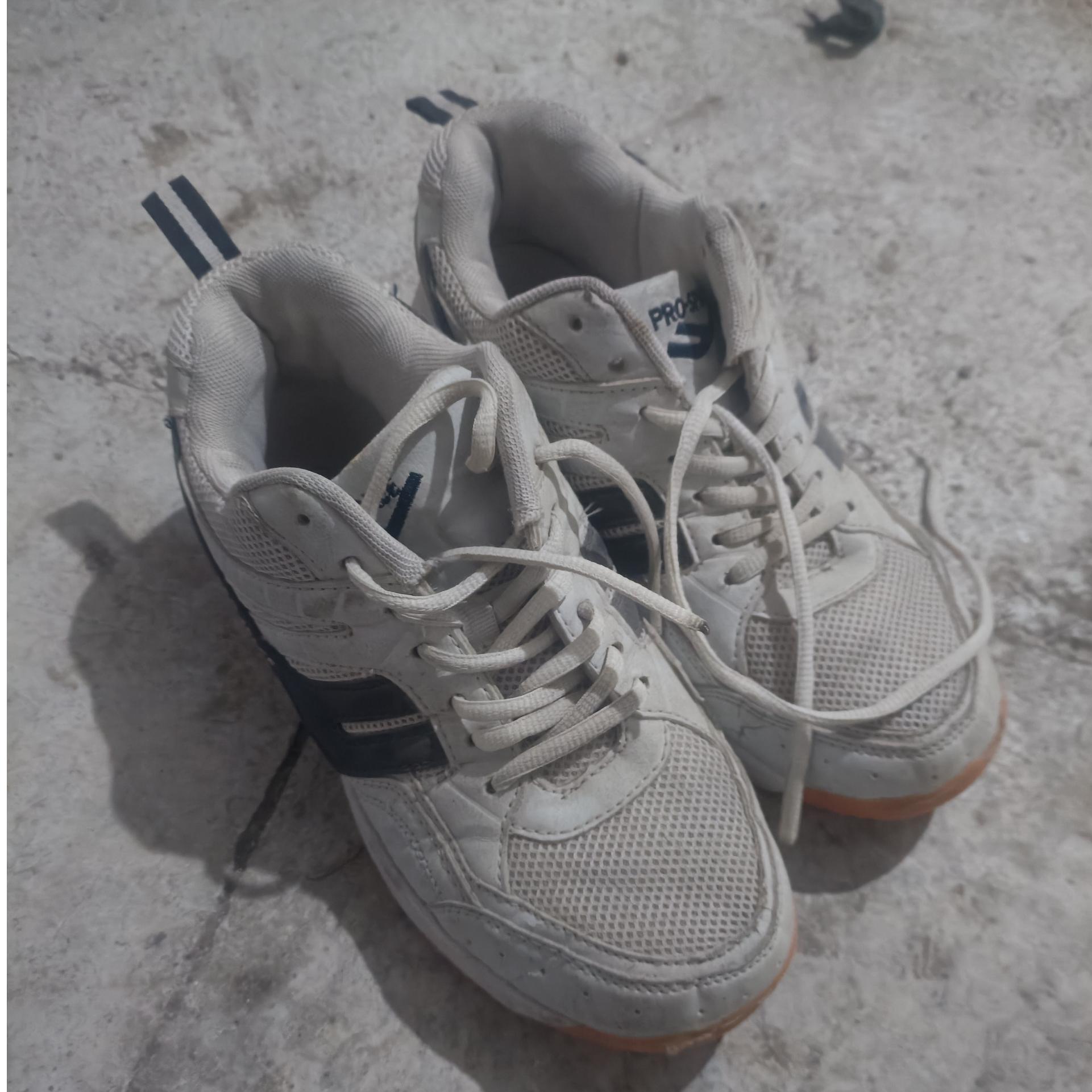 کتانی. PRO -SPACE