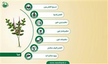 دانه