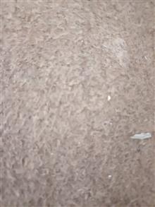 لوازم