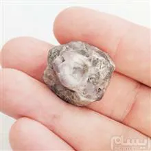 اماتیست