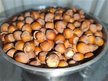 فندق