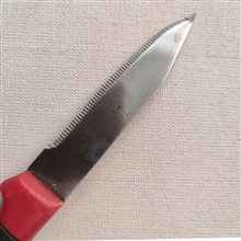 چاقو