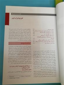 بارداری
