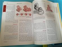 بارداری