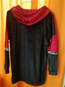 هودی