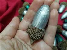 بلوط