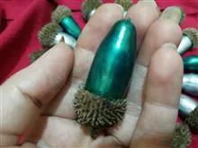 بلوط