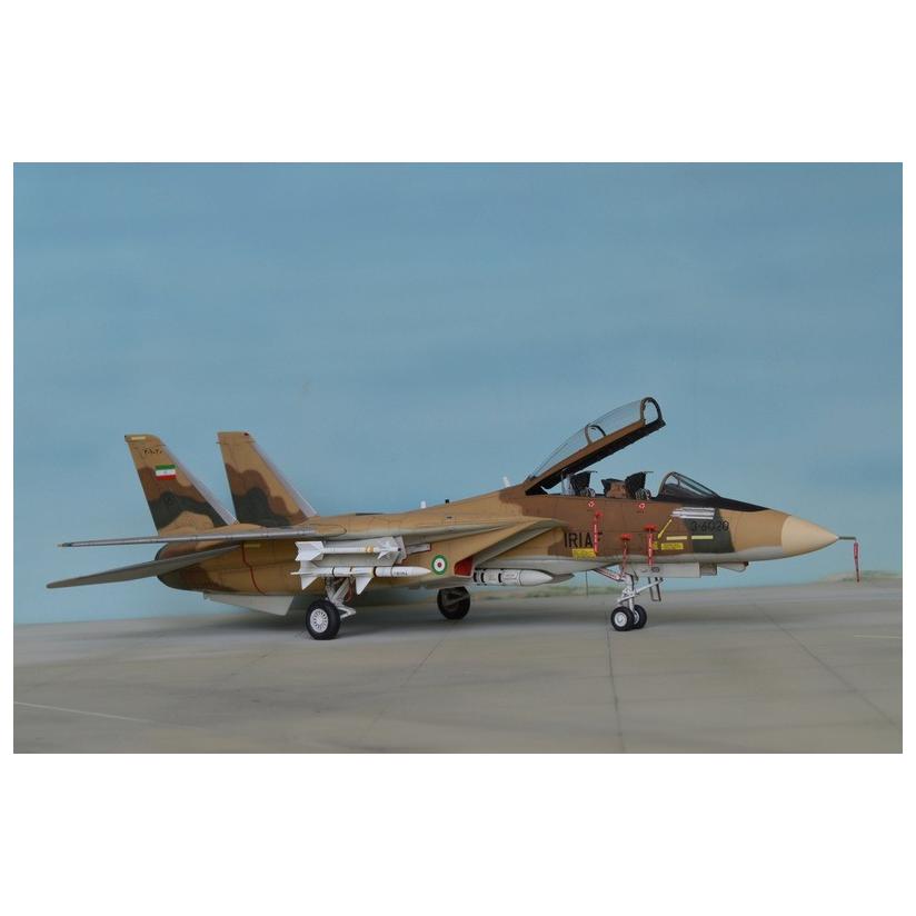 کیت تامکت F-14A برند هاسگاوا مقیاس 1/72