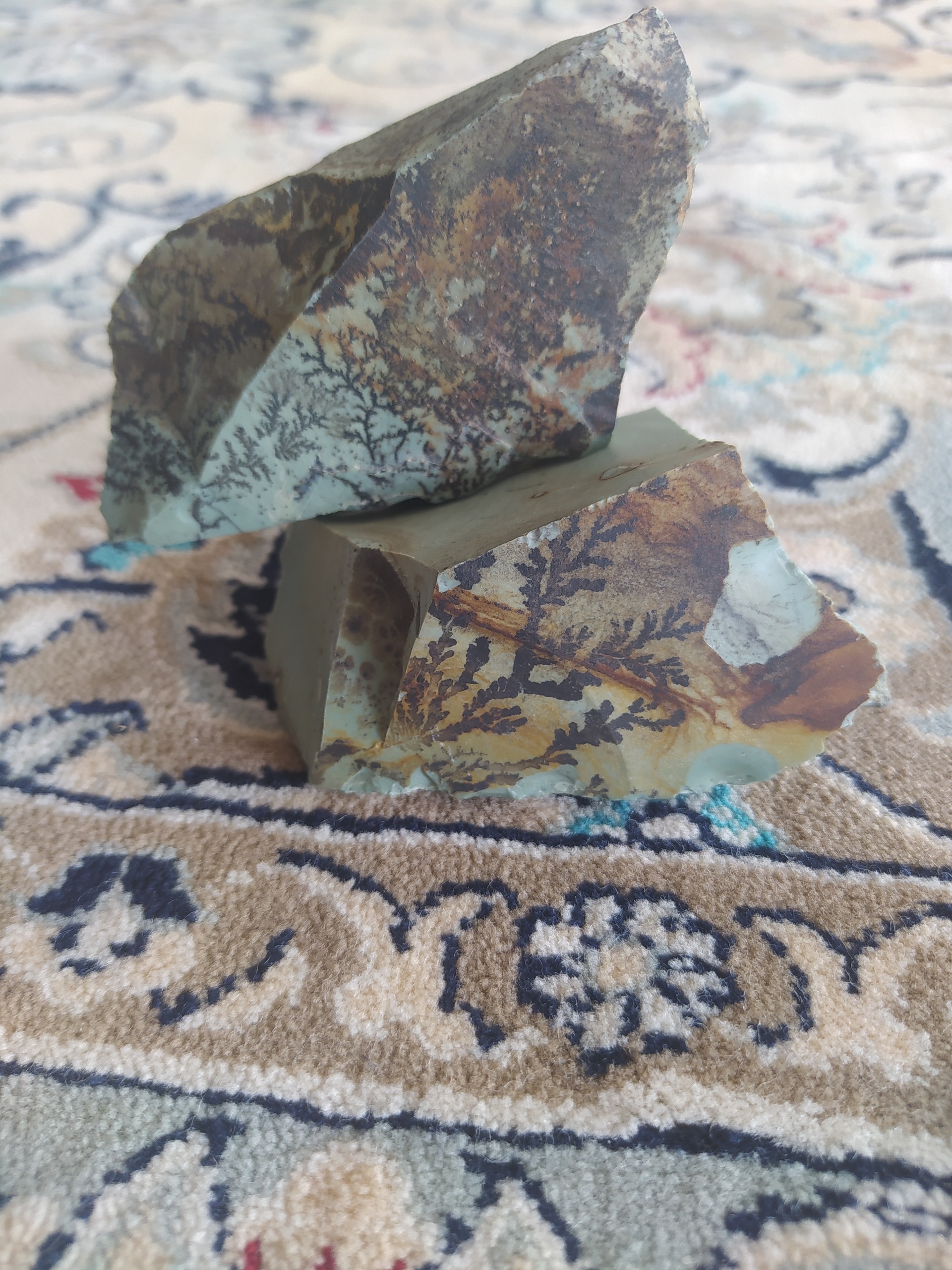  سنگ شجر فسیلی