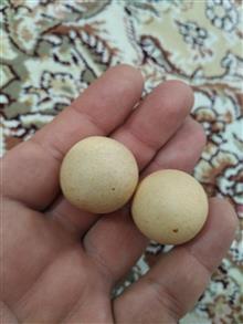 سنگ