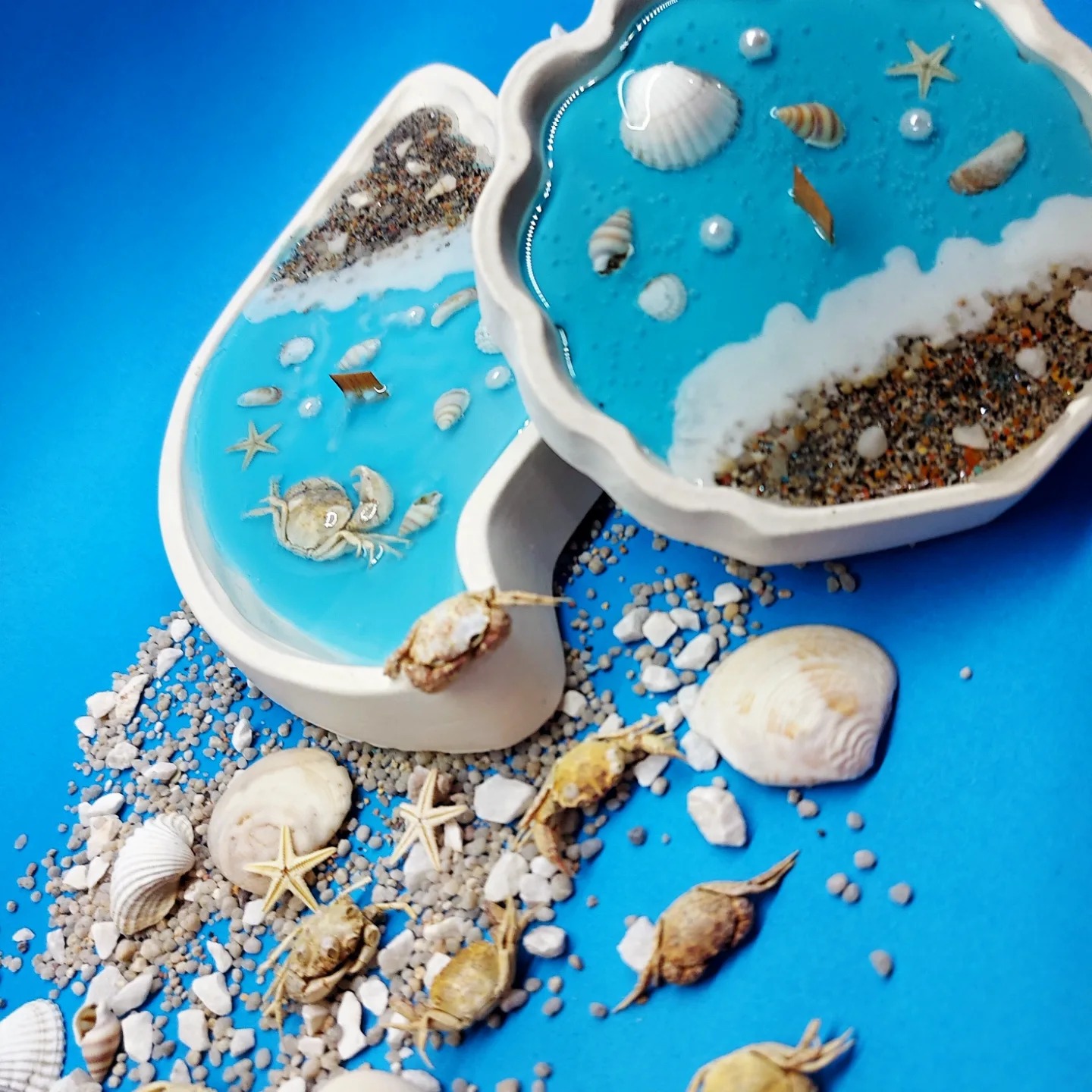 شمع دریا خرچنگی