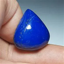 لاجوردغولپیکرخوشرنگ