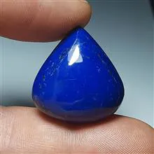 لاجوردغولپیکرخوشرنگ