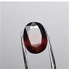 گارنت