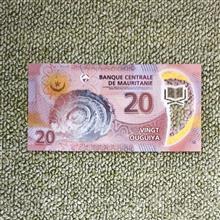 20