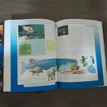 دایره