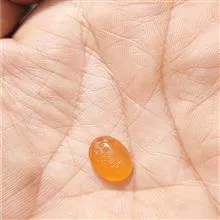 شرف