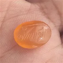 شرف