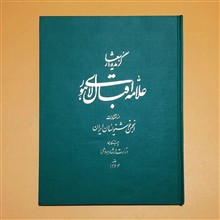 گزیده