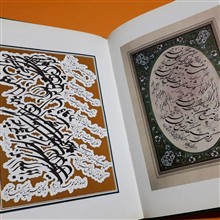 گزیده