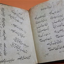گزیده