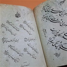 گزیده
