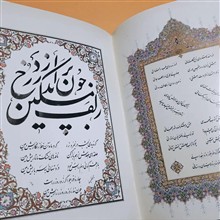 گزیده