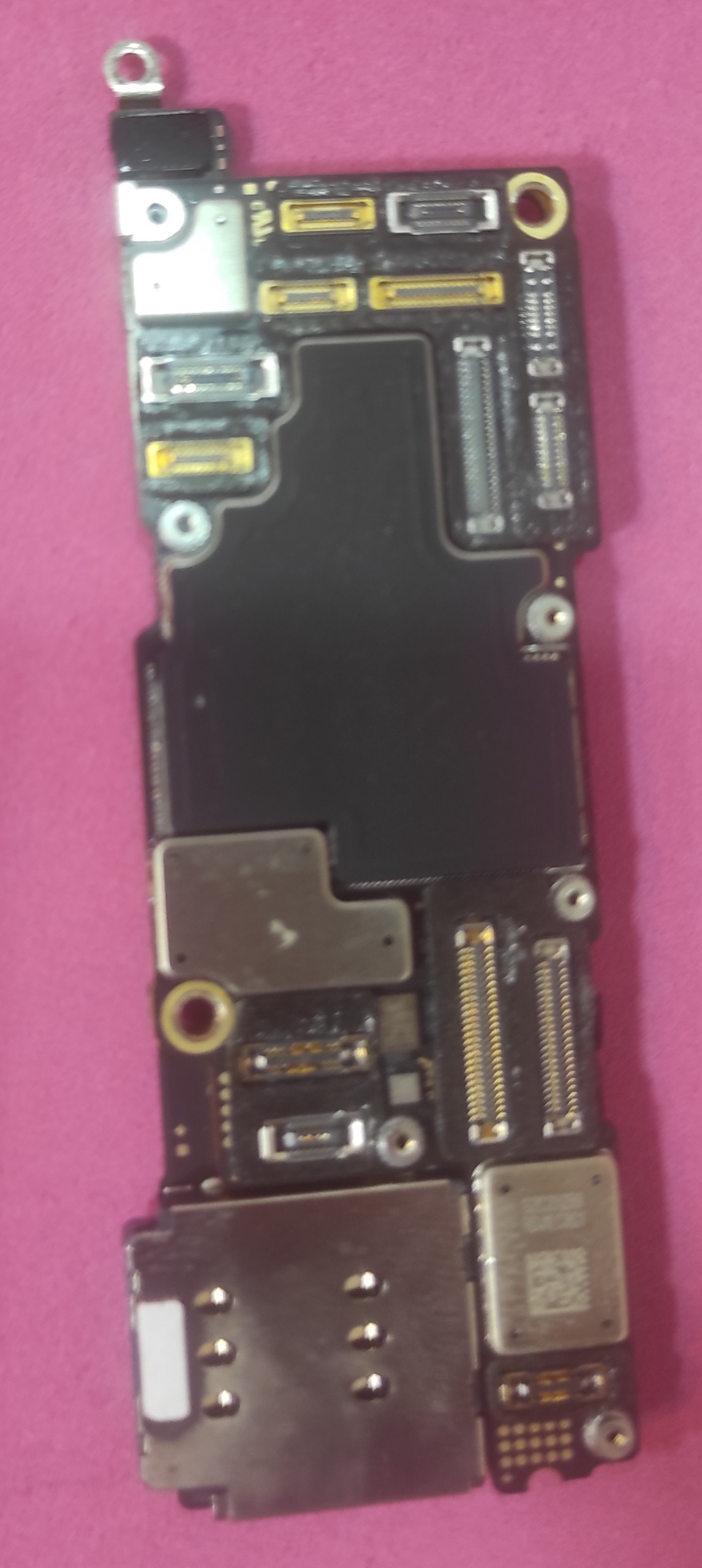 برد ایکلود 14promax