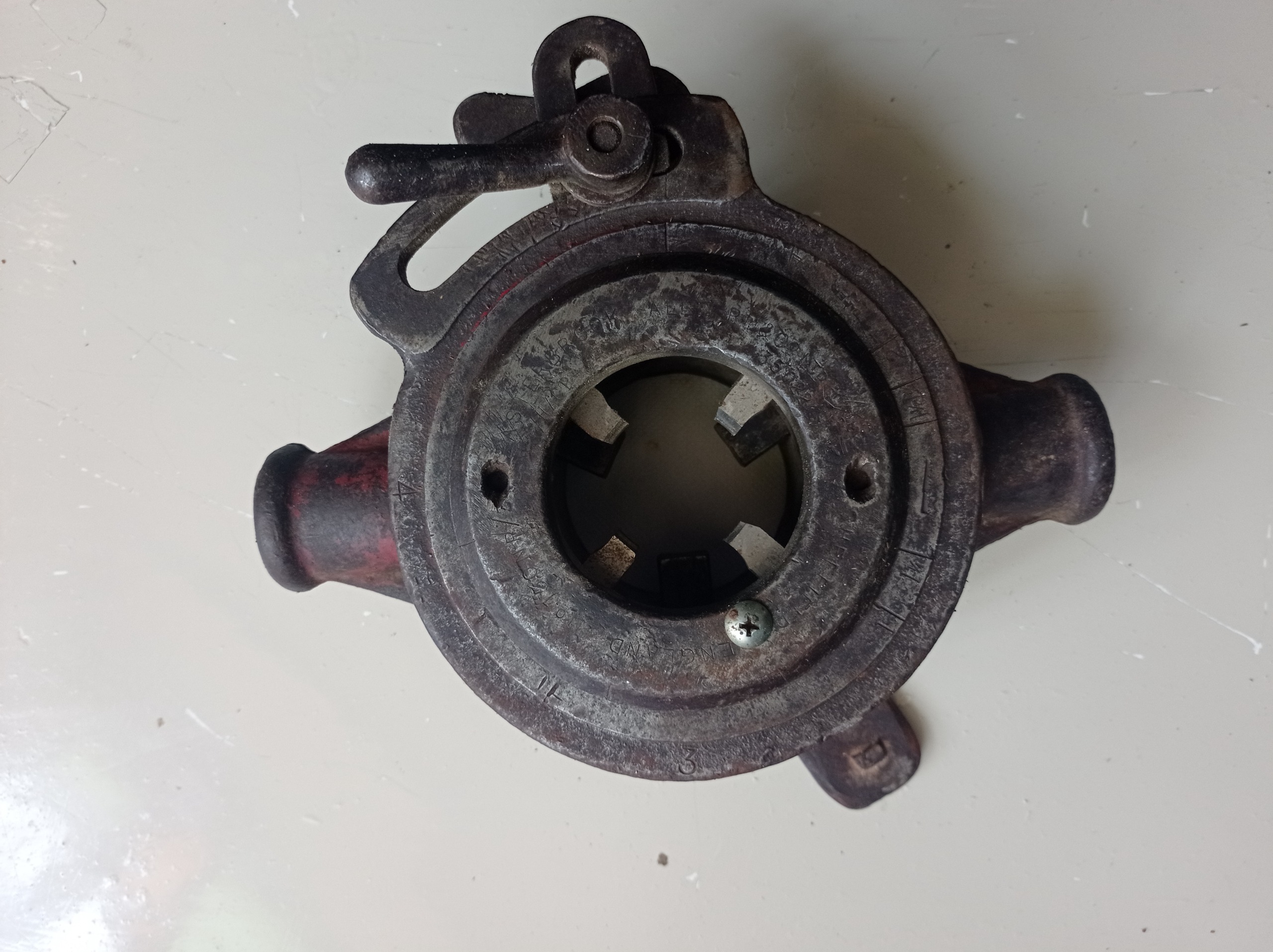 حدیده کله گاوی انگلیسی