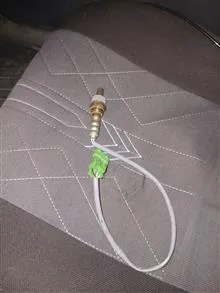 سنسور