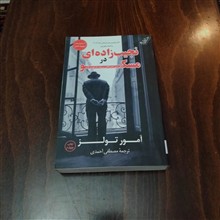 نجیب
