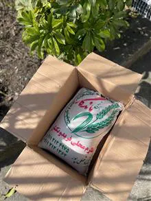 برنج