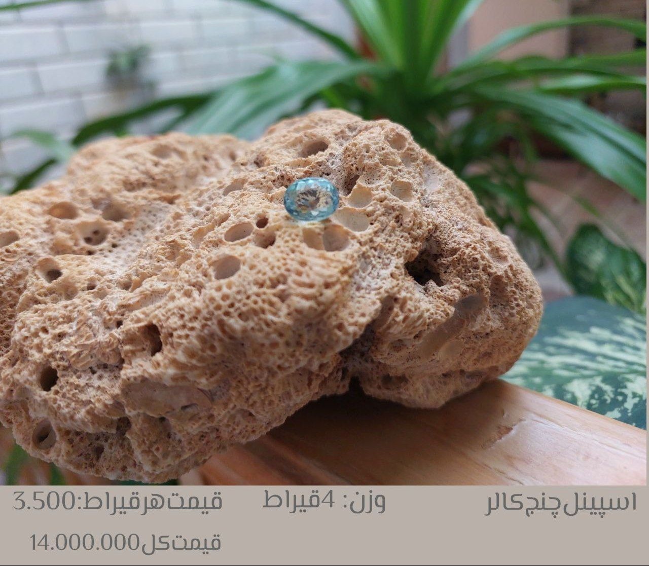 اسپینل چنج کالر وارداتی