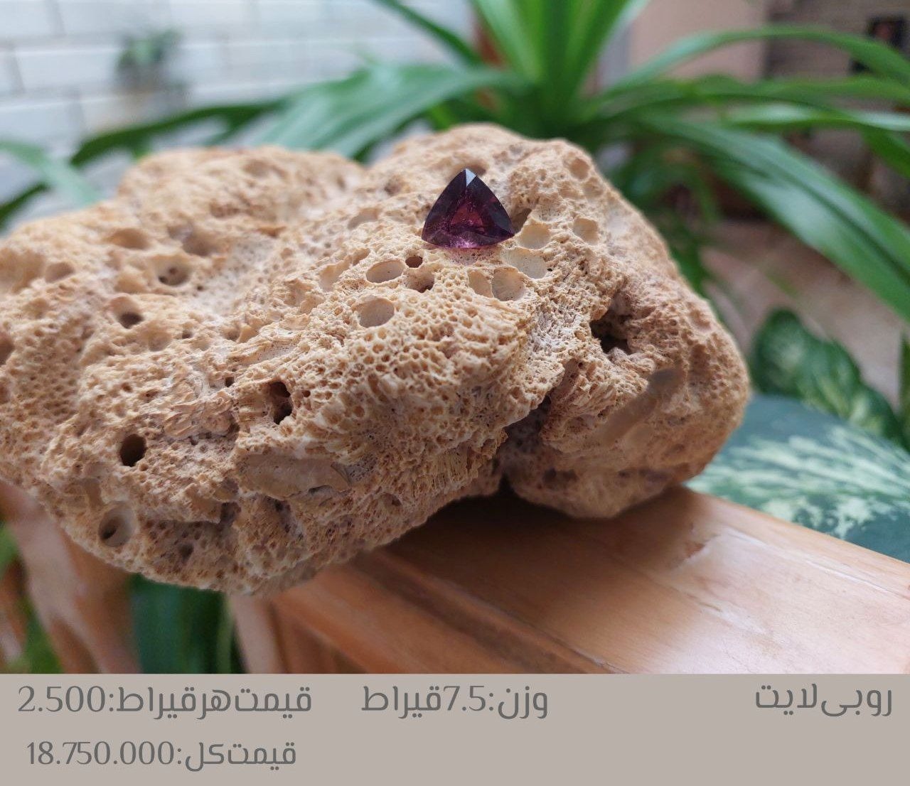 روبی لایت وارداتی