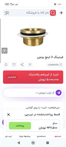 فیتینگمغزی