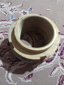 فیتینگمغزی