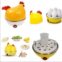 تخم